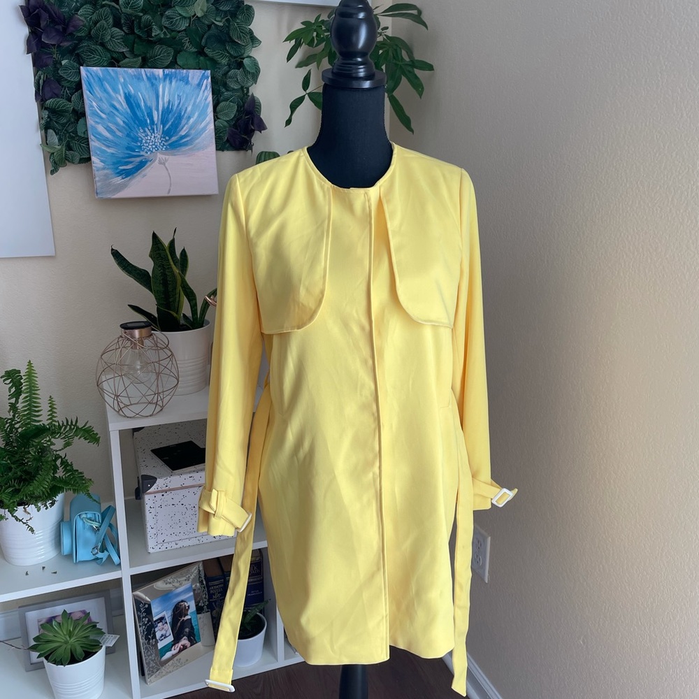 Yellow Coat - image 4
